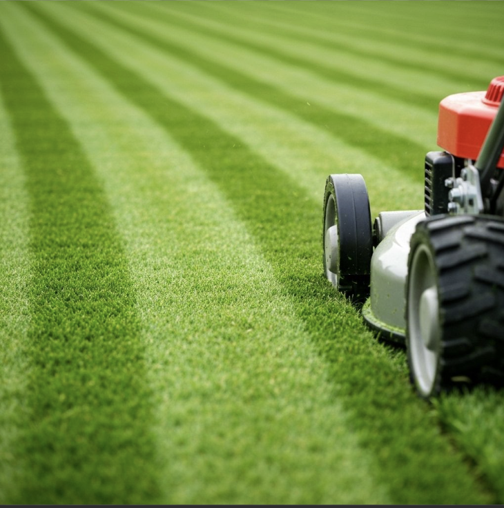 Complete Lawn Care Service